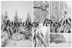joyeuses-ftes-de-fin-dannee-a-tous-mes-amies-photographes-4597dc64-d97f-4db3-a3d7-c689024aa95c