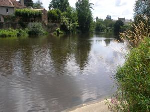 OLYMPUS DIGITAL CAMERA