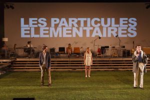 3445127_6_6711_les-particules-elementaires-de-michel_7adb65bd4f1557553504f7e9f406f30f