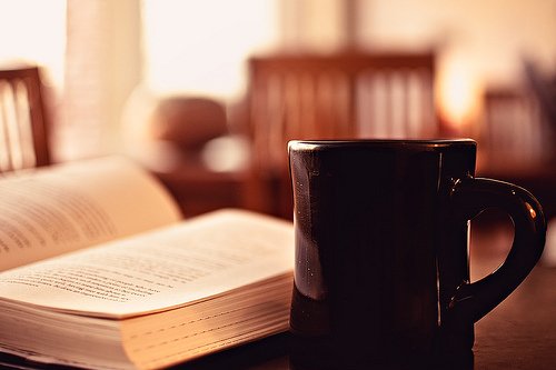 3062880129_1_5_dd8RkJJM